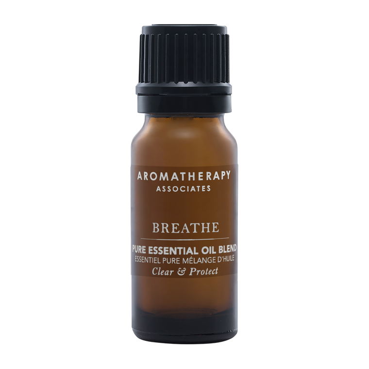 Zen Breathe Blend Essential Oil for Diffuser  Invigorating Breathe  Essential Oil Blend with Eucalyptus, Peppermint, Tea Tree and Camphor  Essential Oils for Diffusers for Home and Shower Aromatherapy 